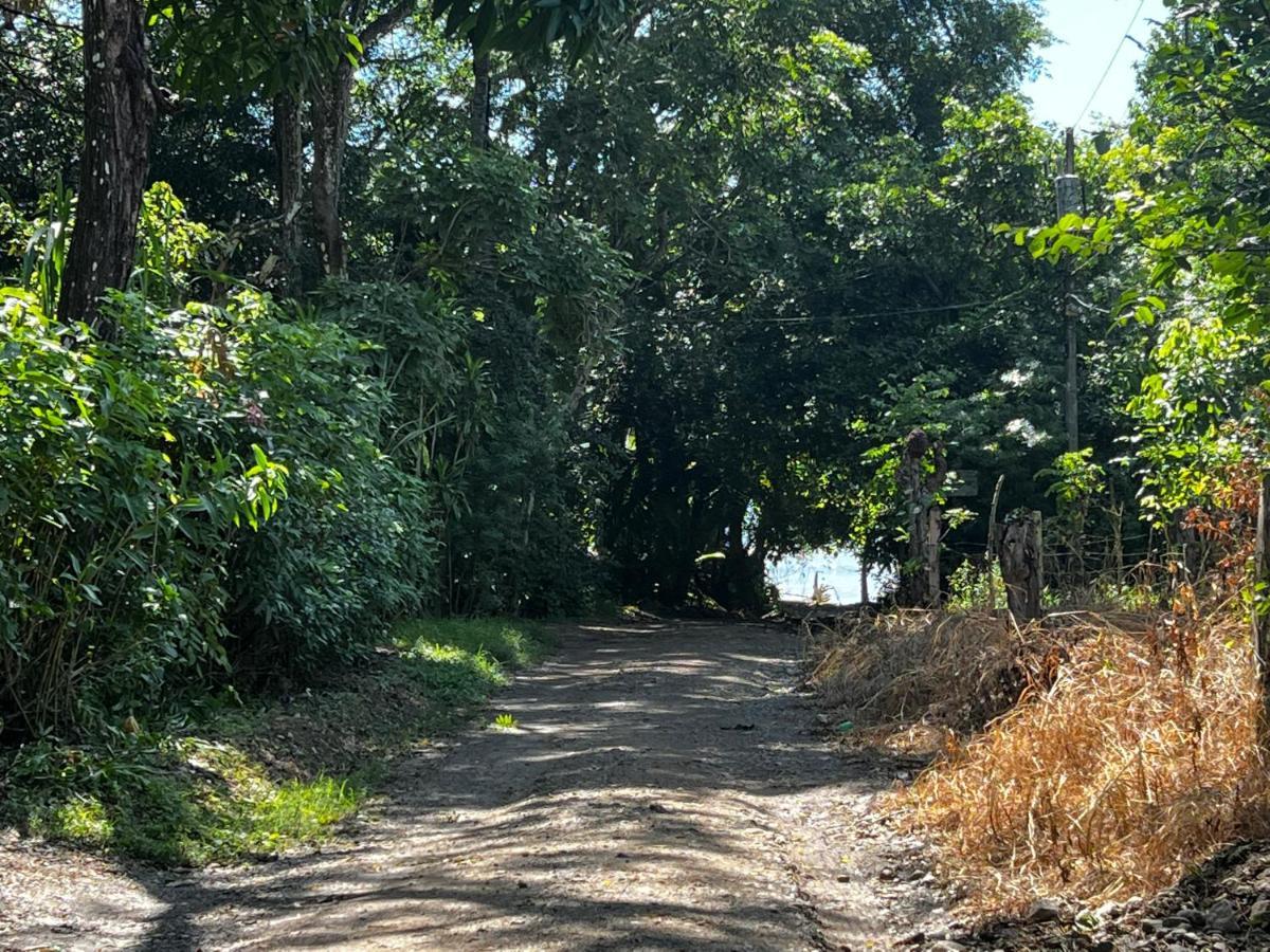 Las Plumas De Cabuya Cabuya  Экстерьер фото