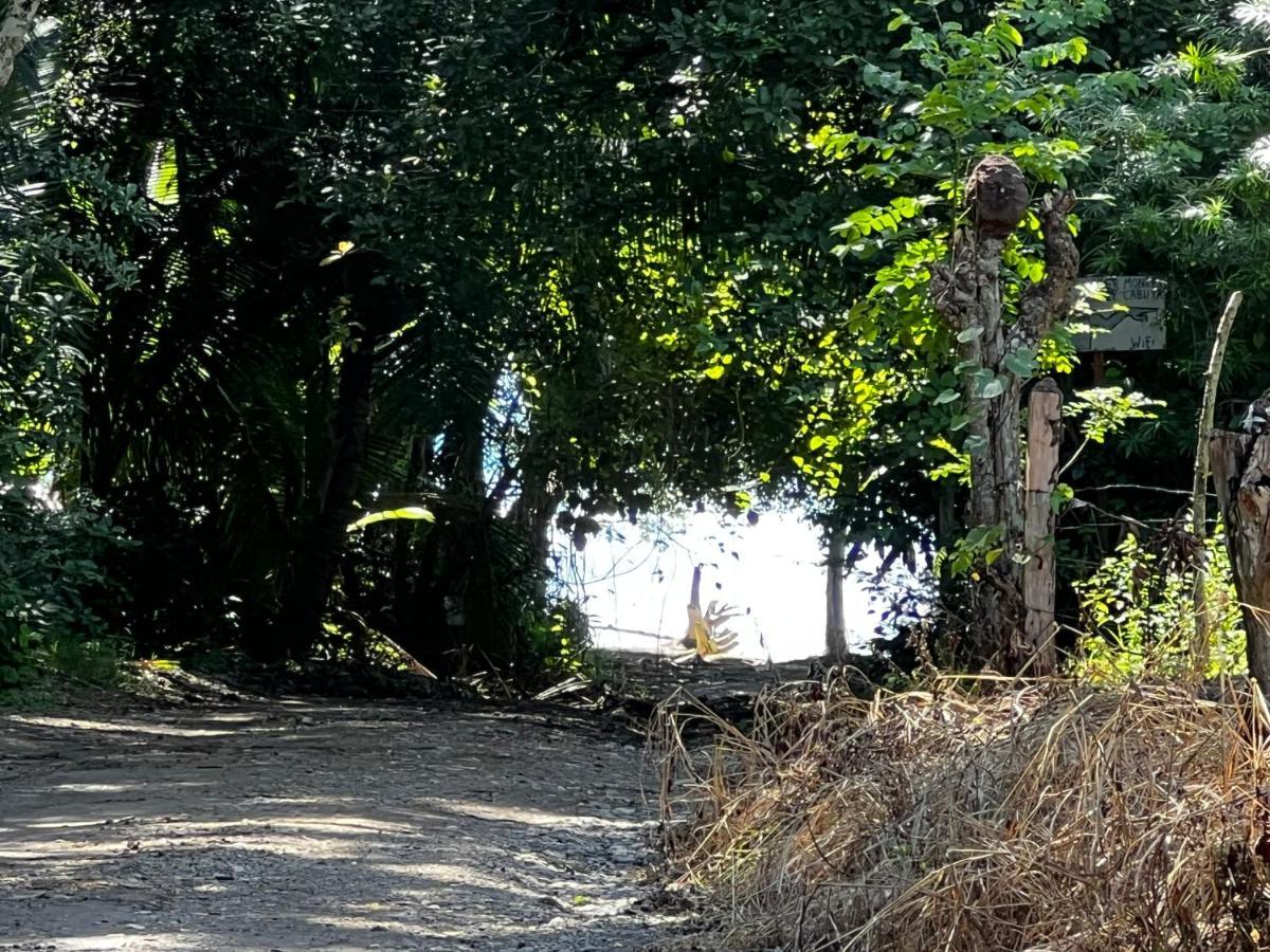 Las Plumas De Cabuya Cabuya  Экстерьер фото